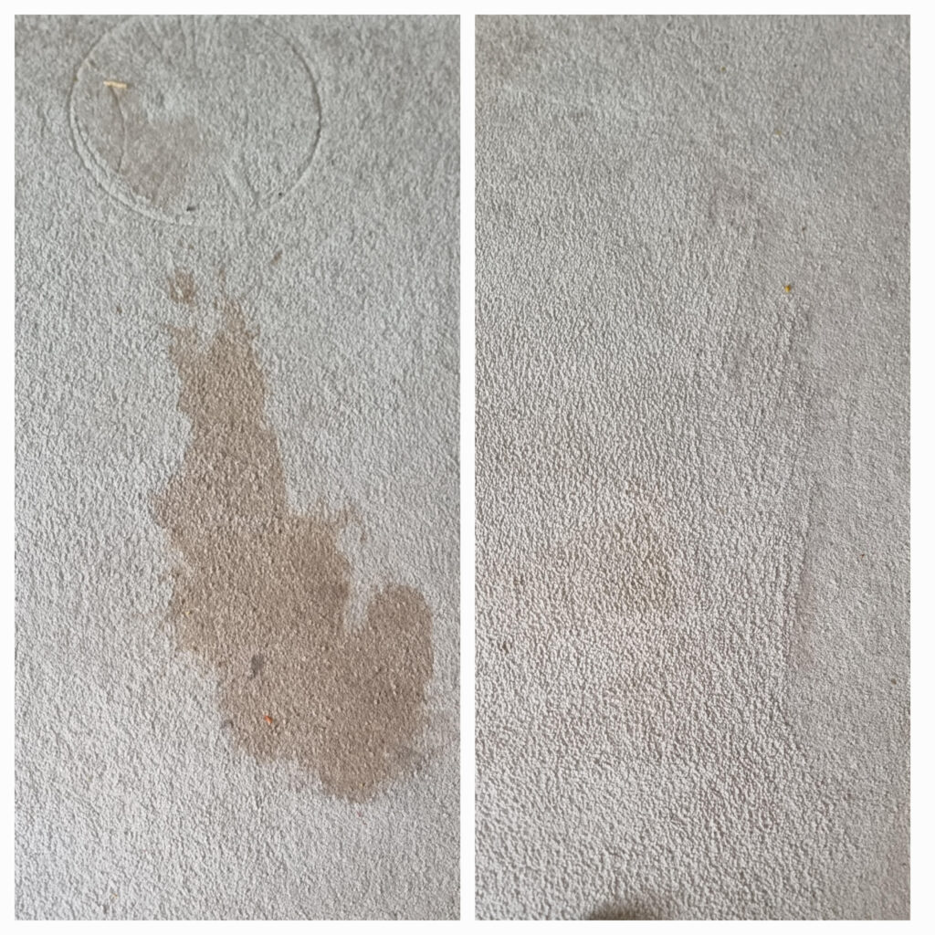 Carpet cleaning before and after