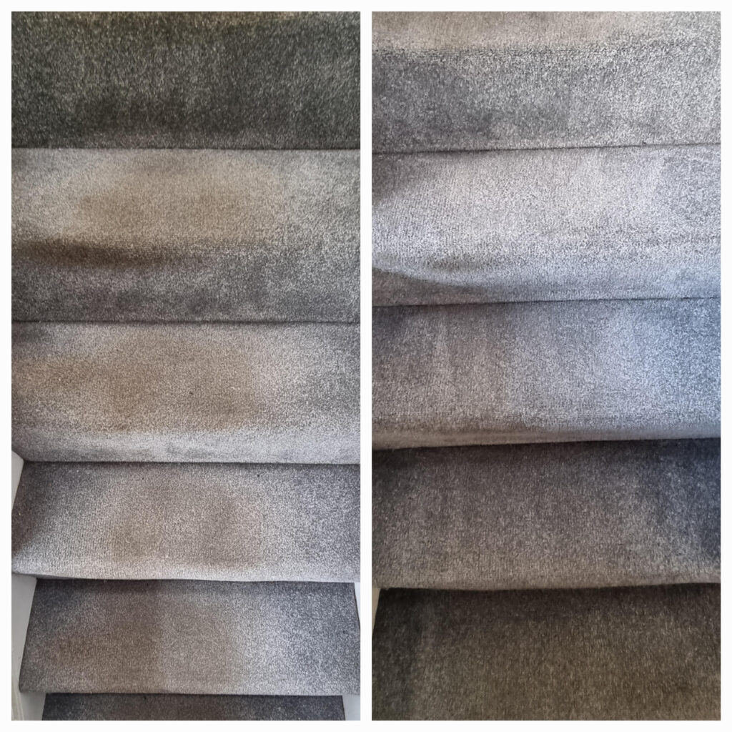 carpet cleaning before and after 2