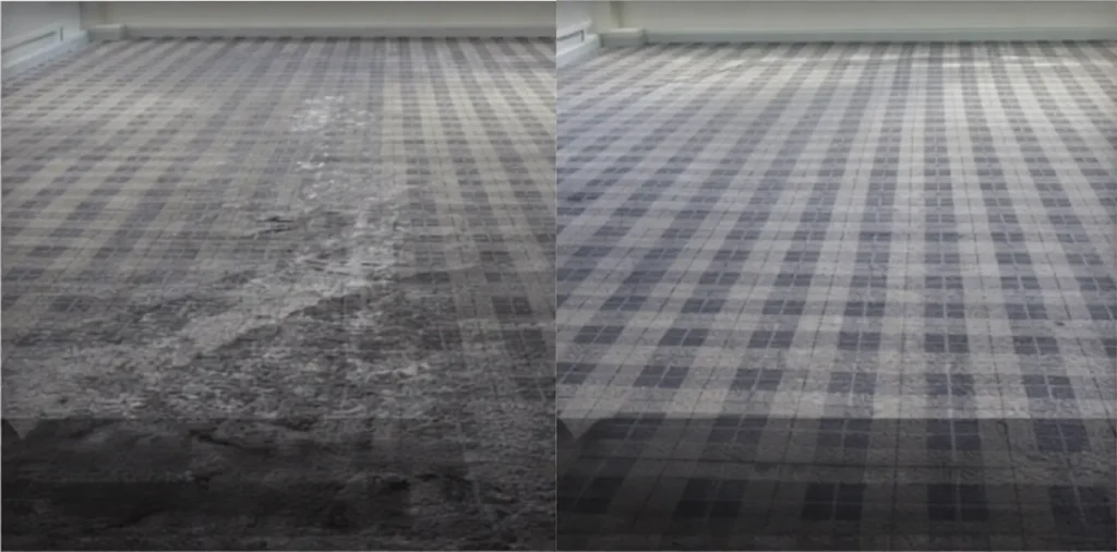 carpet-ba-2